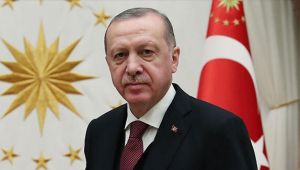 Cumhurbaşkanı Erdoğan, Zelenskiy'nin teşekkür tweetine cevap verdi