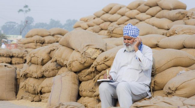 Hindistan'dan buğday unu ihracatına kısıtlama kararı
