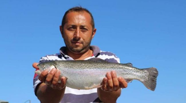 Rusya'nın somon ihtiyacını denize kıyısı olmayan Sivas karşılıyor